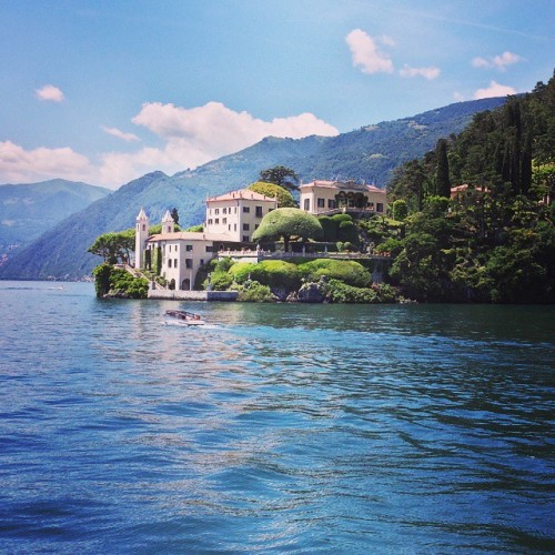 Source: http://junglerain.tumblr.com