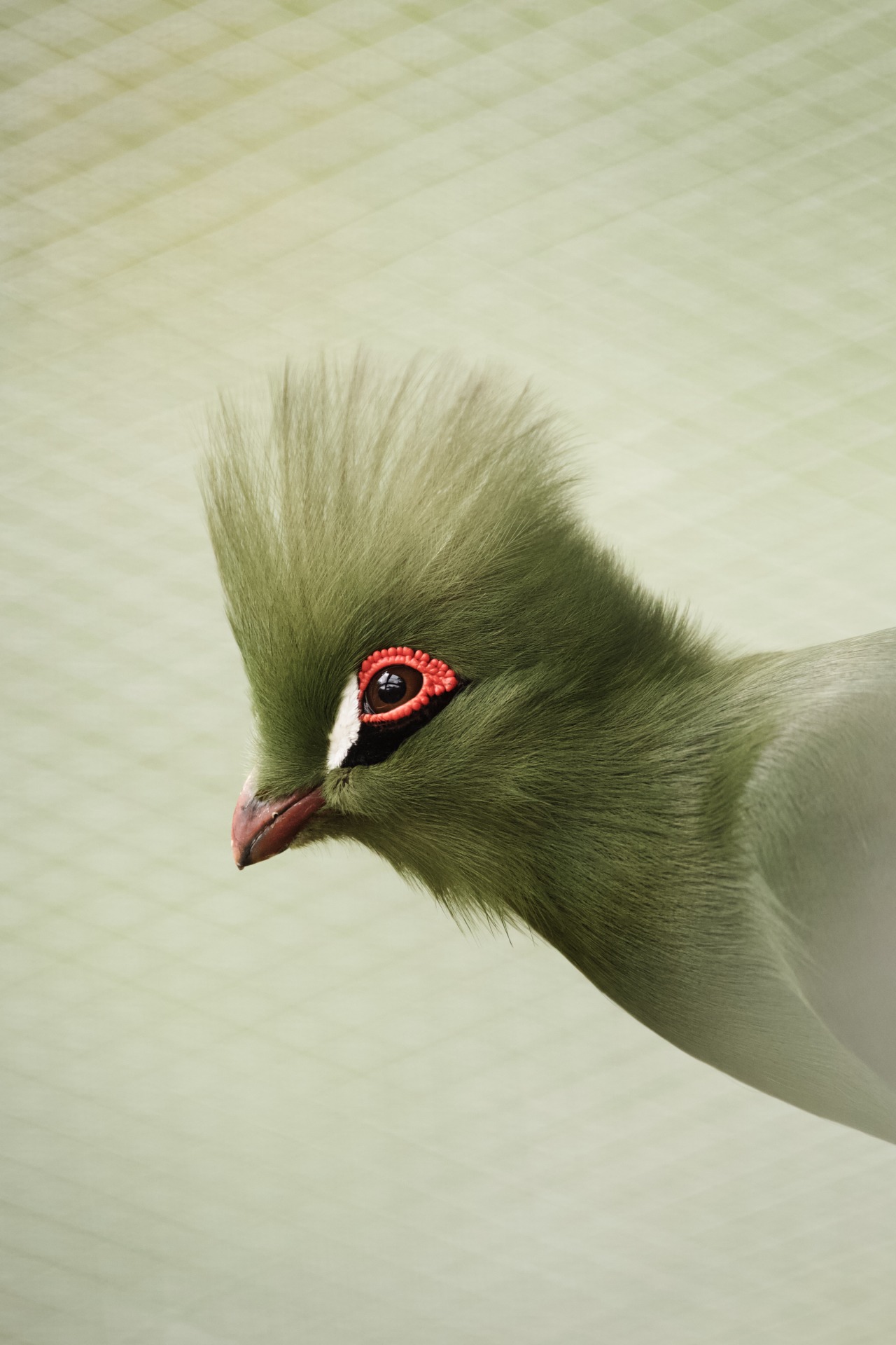 Source: http://kylebonallo.tumblr.com