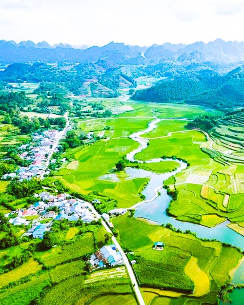 Source: http://coolvietnamlove.tumblr.com