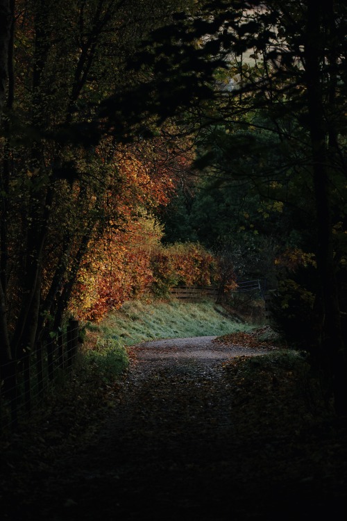 Source: http://kylebonallo.tumblr.com