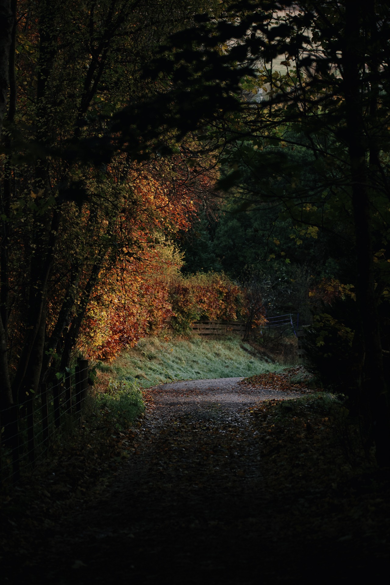 Source: http://kylebonallo.tumblr.com