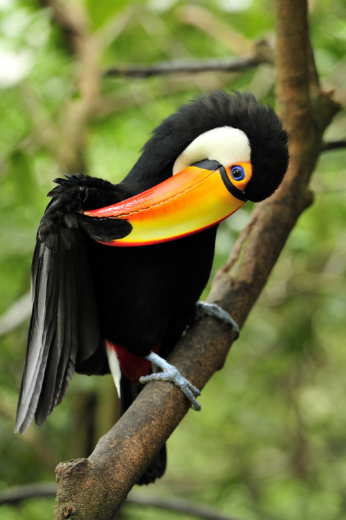 Source: http://tropic-havens.tumblr.com