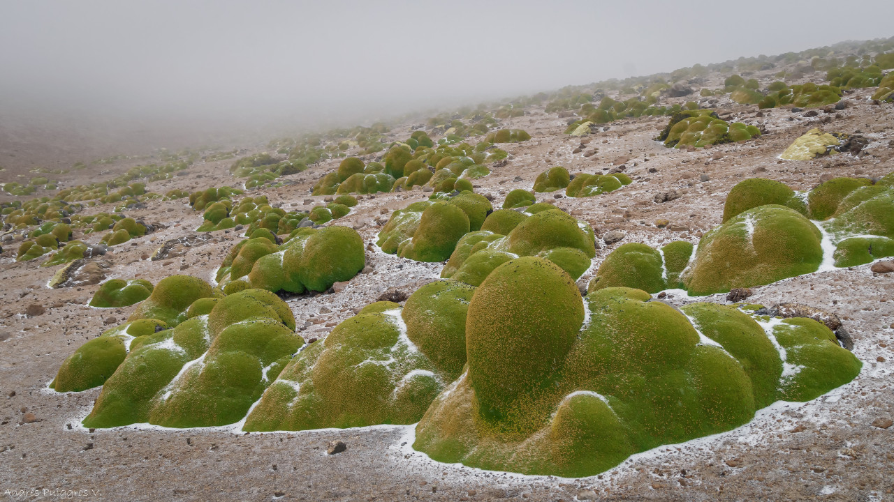 Source: http://expressions-of-nature.tumblr.com