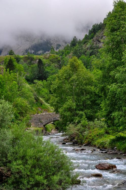 Source: http://silvaris.tumblr.com