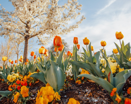 Source: http://j-k-i-ng.tumblr.com