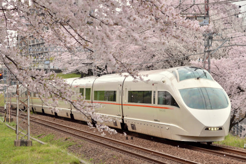 Source: http://tsukikages.tumblr.com