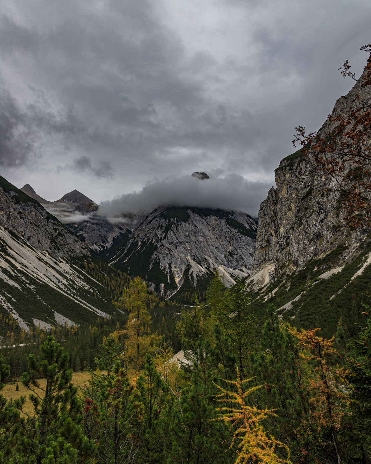 Source: http://nature-hiking.tumblr.com