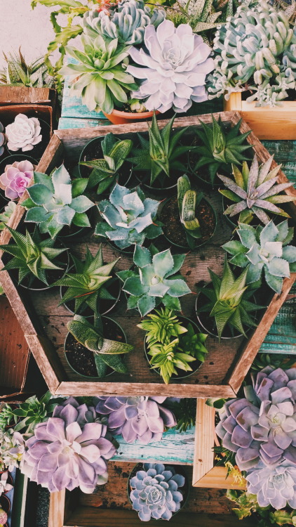 Source: http://therealbohemian.tumblr.com