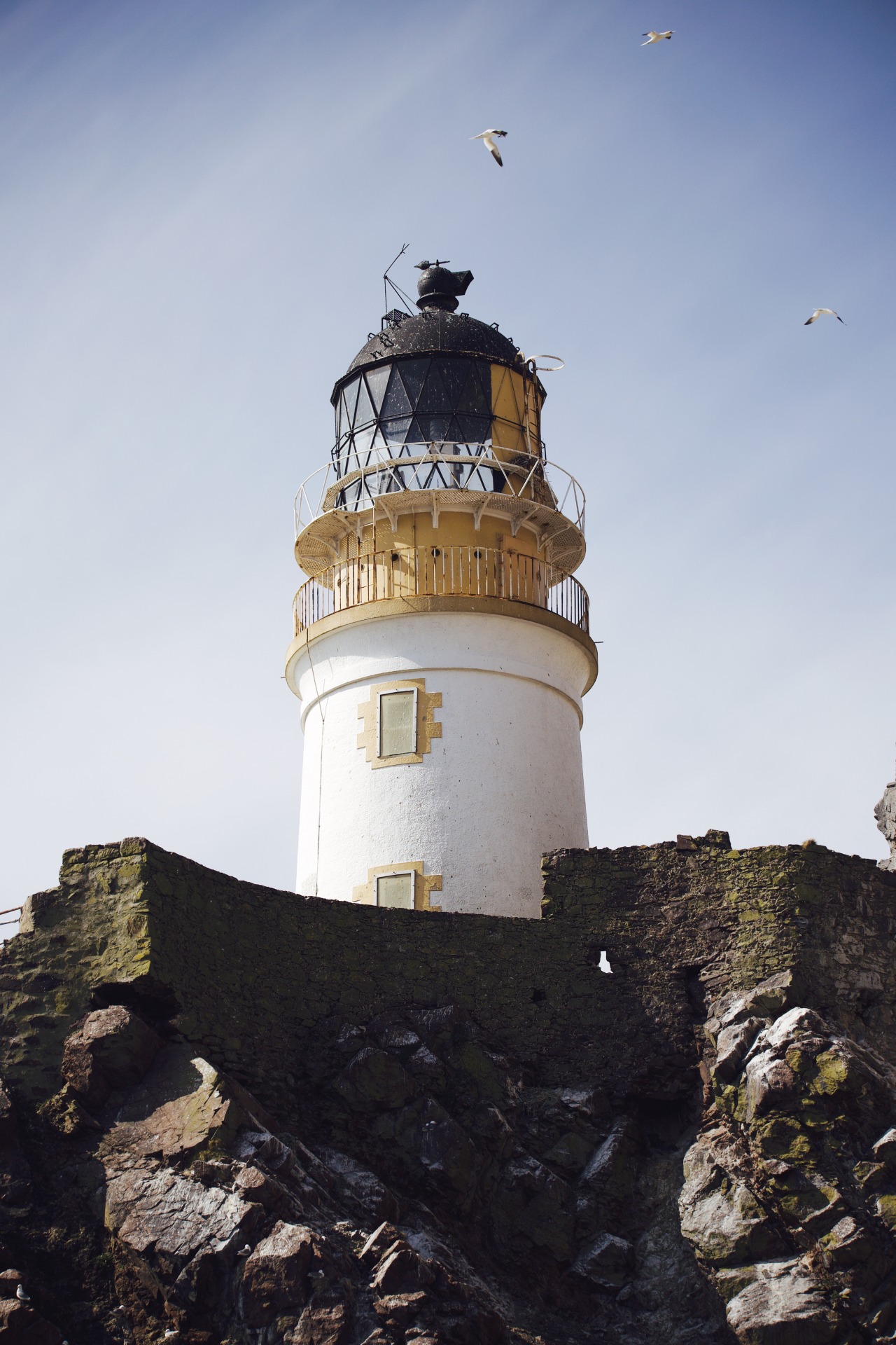 Source: http://kylebonallo.tumblr.com