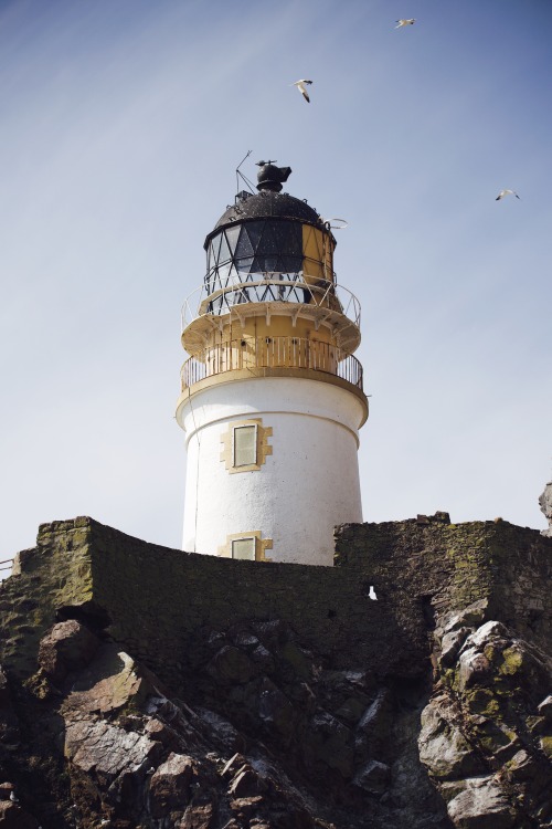 Source: http://kylebonallo.tumblr.com