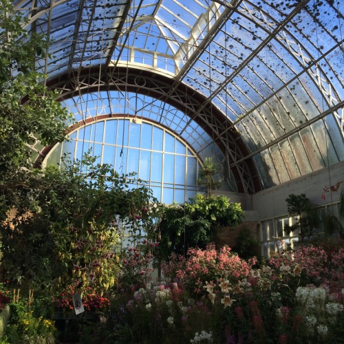 Source: http://wanderluhsts.tumblr.com