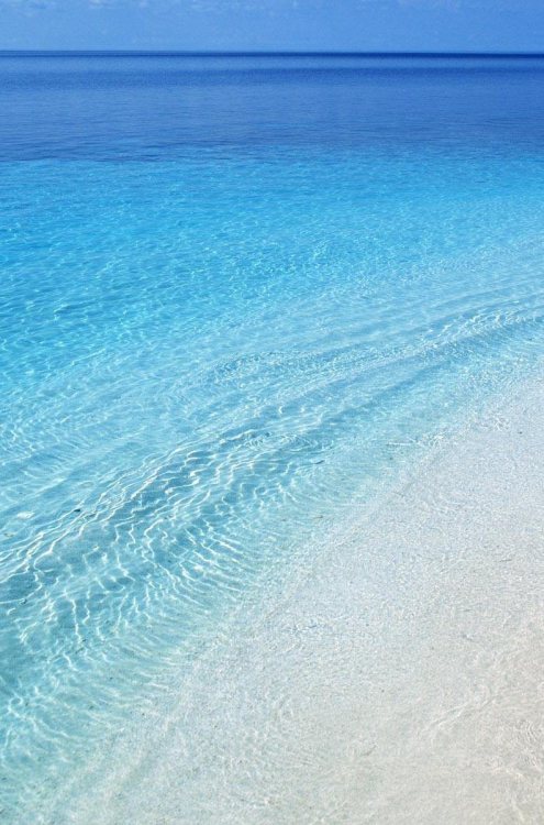 Source: http://shambholic.tumblr.com