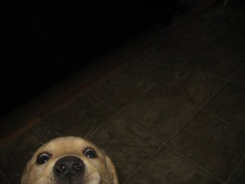 Source: http://deletingmyself.tumblr.com