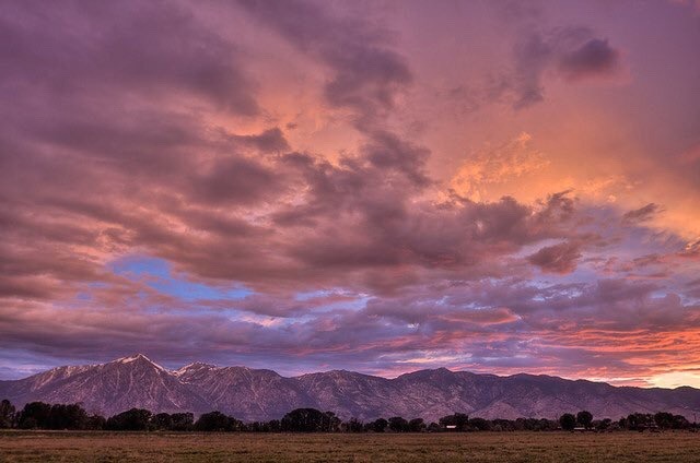 Source: http://shambholic.tumblr.com