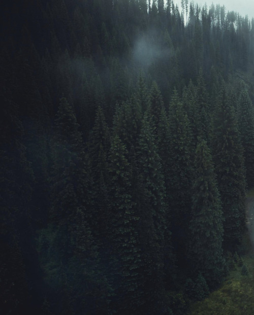 Source: http://whanderlost.tumblr.com