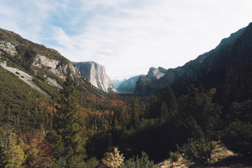 Source: http://deletingmyself.tumblr.com