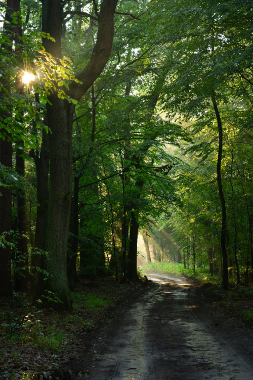 Source: http://solar-bar.tumblr.com