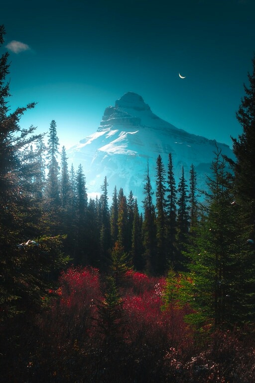 Source: http://j-k-i-ng.tumblr.com