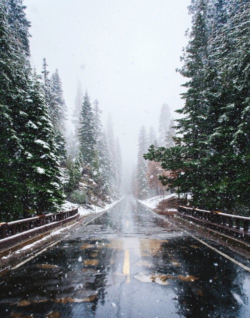 Source: http://junglerain.tumblr.com