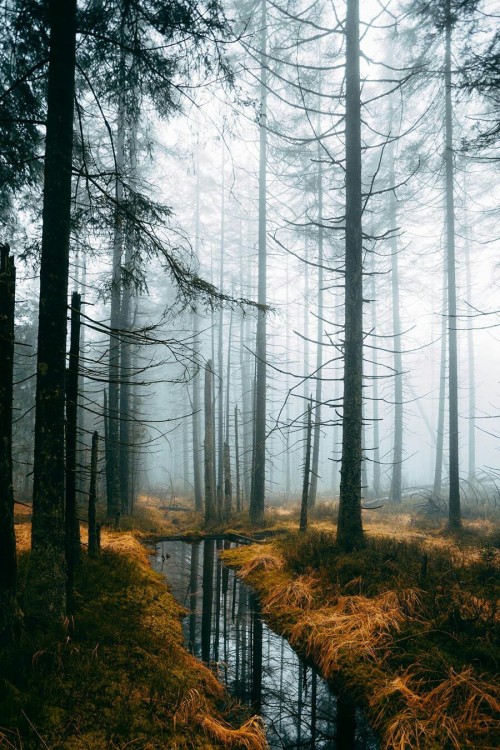 Source: http://j-k-i-ng.tumblr.com