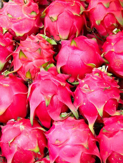 Source: http://tropic-havens.tumblr.com