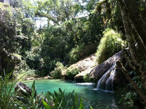 Source: http://tropic-havens.tumblr.com