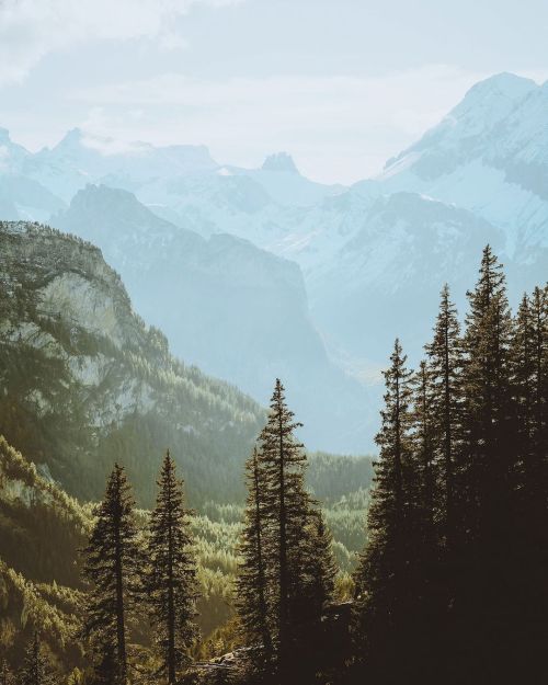 Source: http://worldtalks.tumblr.com