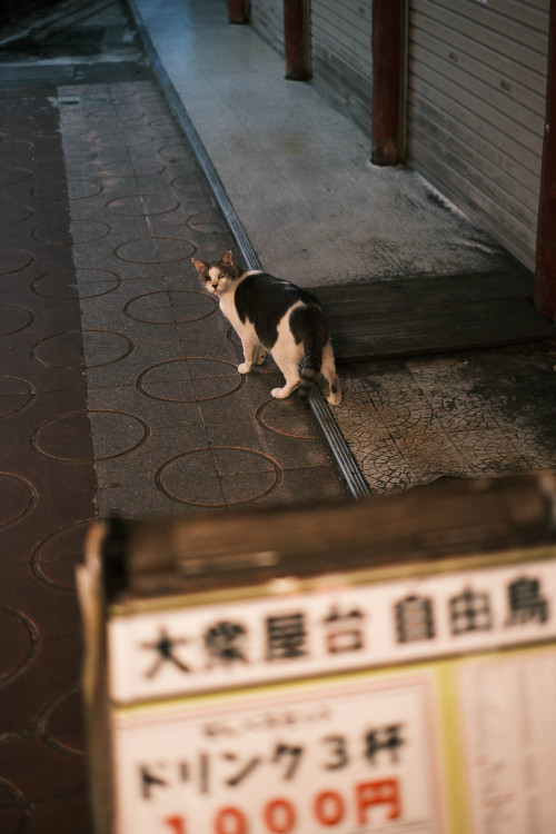 Source: http://tsukikages.tumblr.com