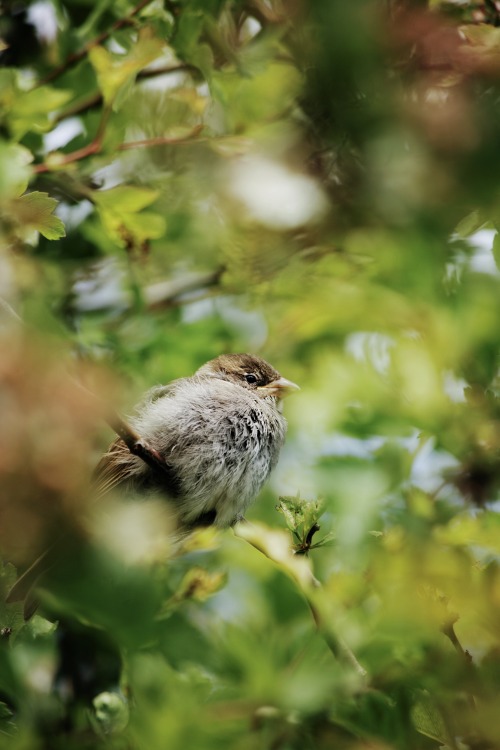 Source: http://kylebonallo.tumblr.com