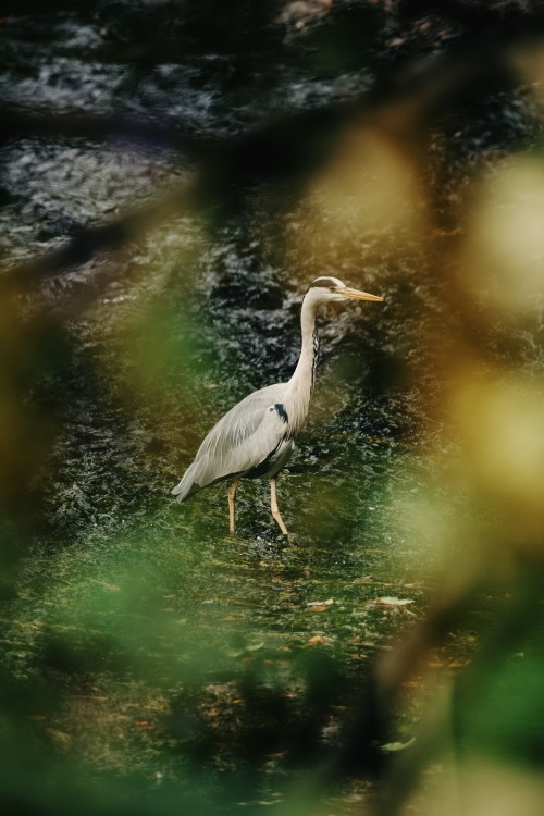 Source: http://kylebonallo.tumblr.com