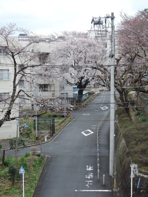 Source: http://tsukikages.tumblr.com