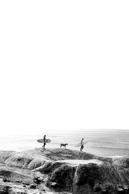 Source: http://cbssurfer.tumblr.com