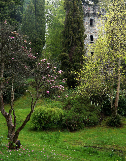 Source: http://silvaris.tumblr.com