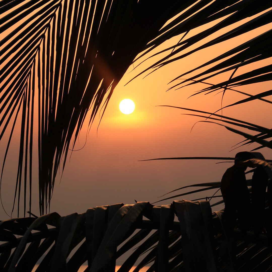 Source: http://tropic-havens.tumblr.com