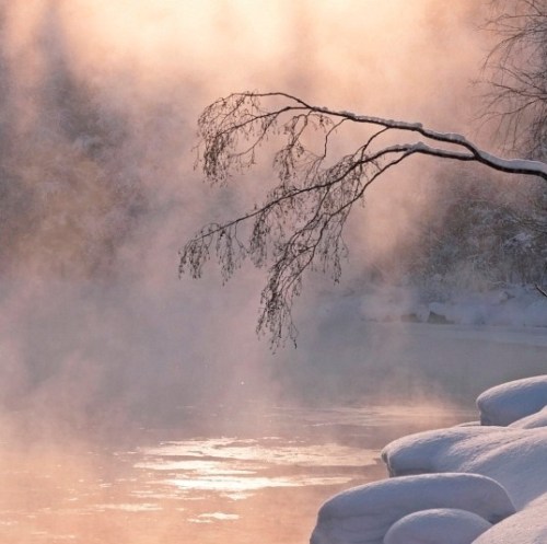 Source: http://alisaineurope.tumblr.com