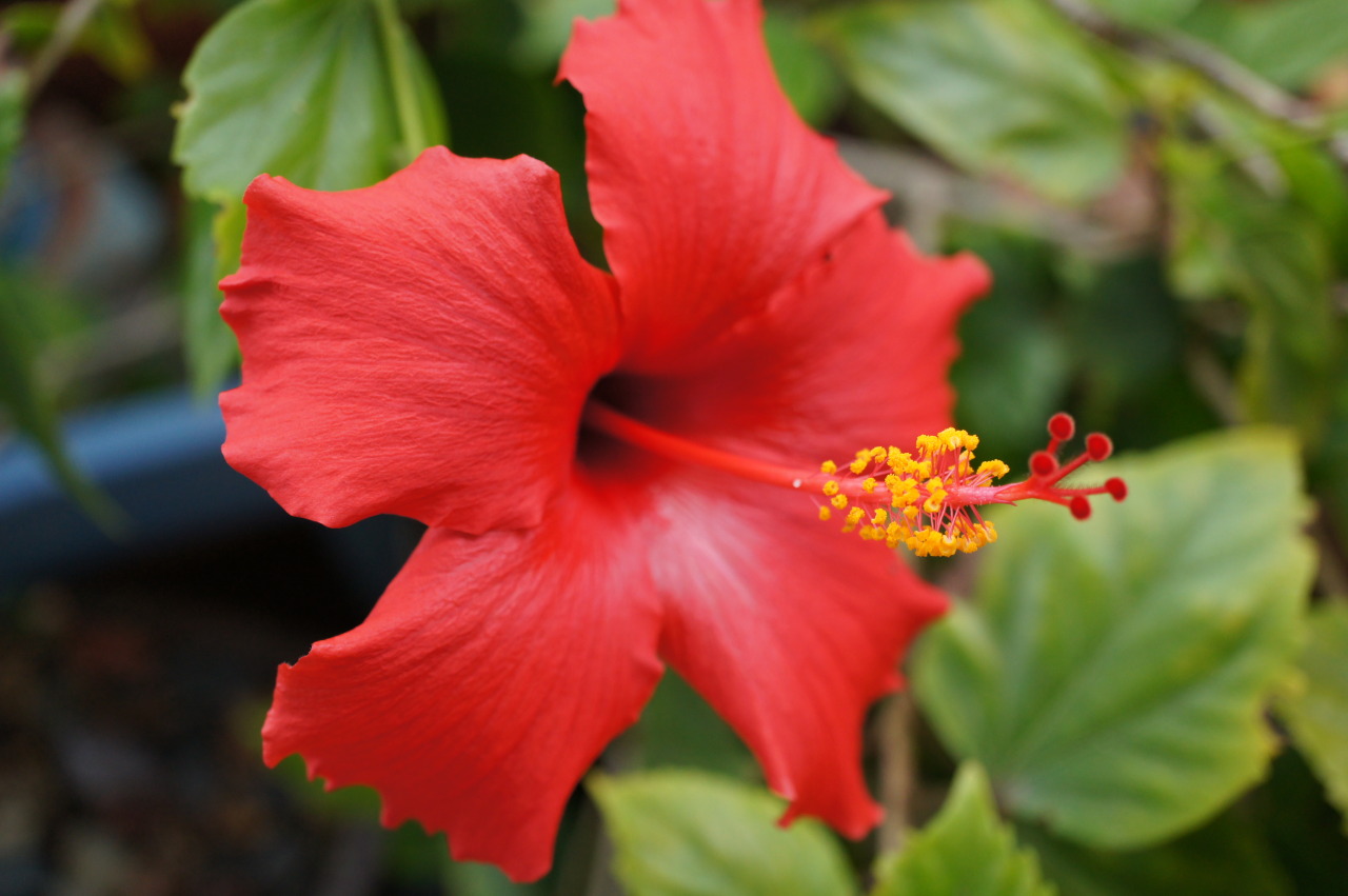 Source: http://satakentia.tumblr.com