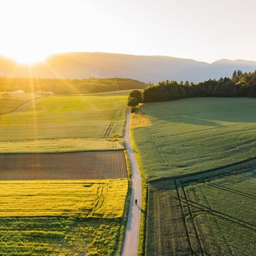 Source: http://raphaeldupertuis.tumblr.com