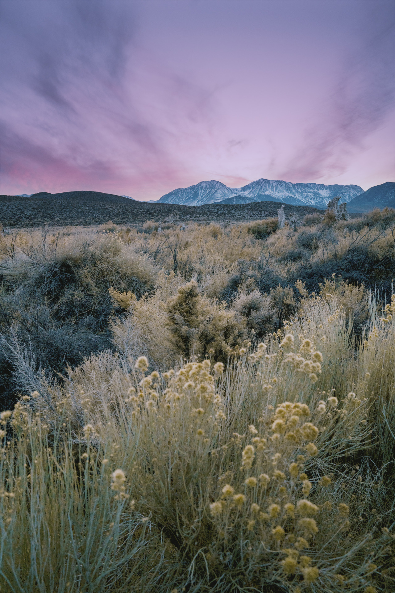 Source: http://junglerain.tumblr.com