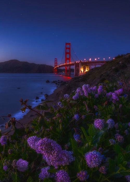 Source: http://coiour-my-world.tumblr.com