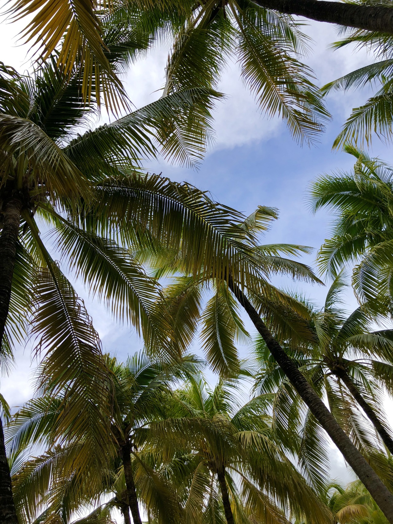 Source: http://therealbohemian.tumblr.com