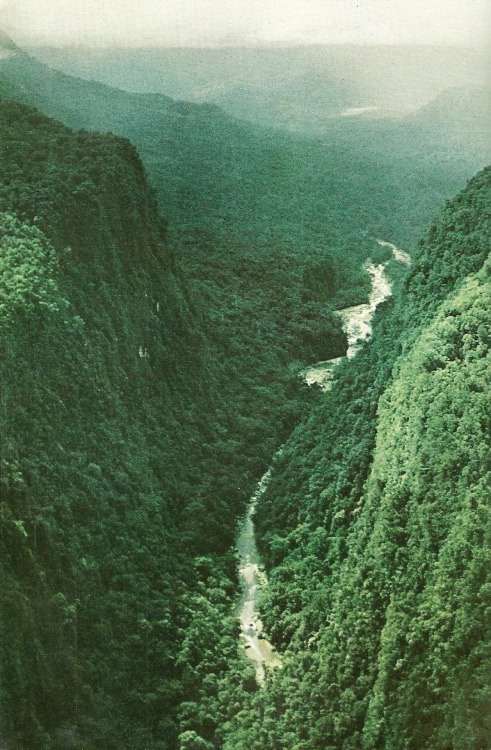 Source: http://a-fricaa.tumblr.com