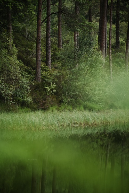 Source: http://satakentia.tumblr.com