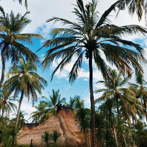 Source: http://mareperfeita.tumblr.com