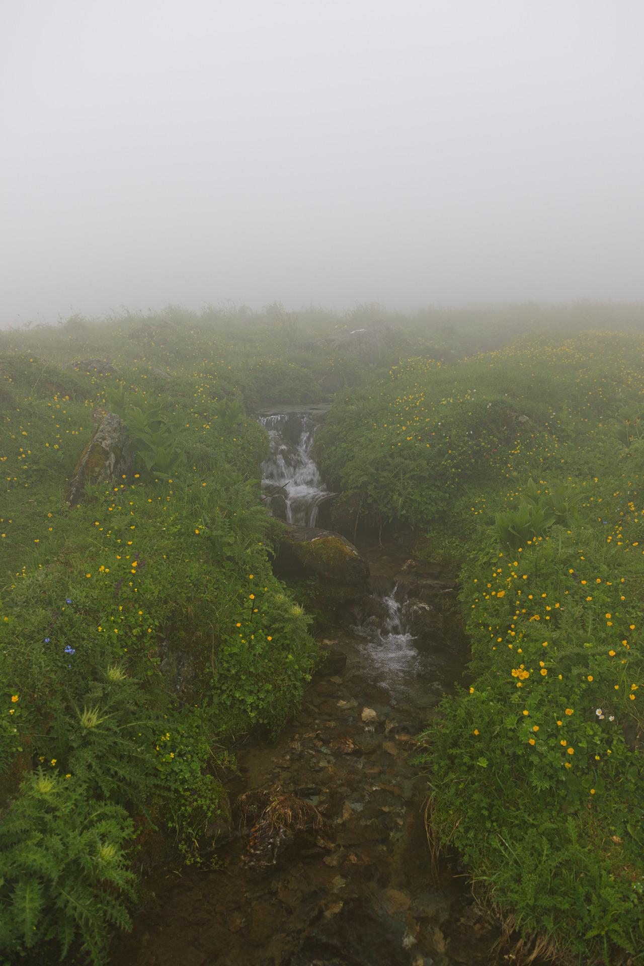 Source: http://nature-hiking.tumblr.com