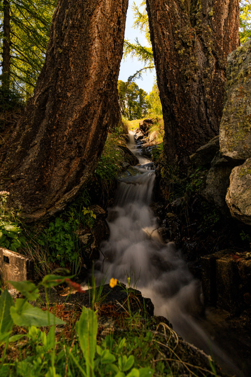 Source: http://nature-hiking.tumblr.com