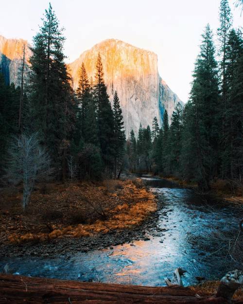 Source: http://shambholic.tumblr.com