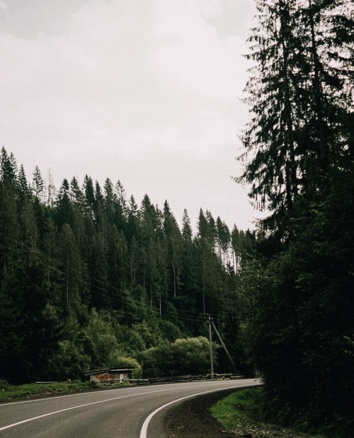 Source: http://naturenook.tumblr.com