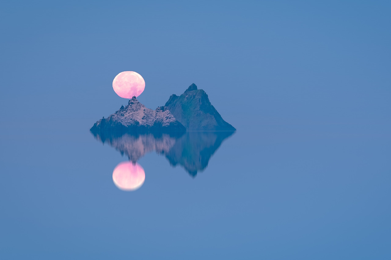 Source: http://expressions-of-nature.tumblr.com