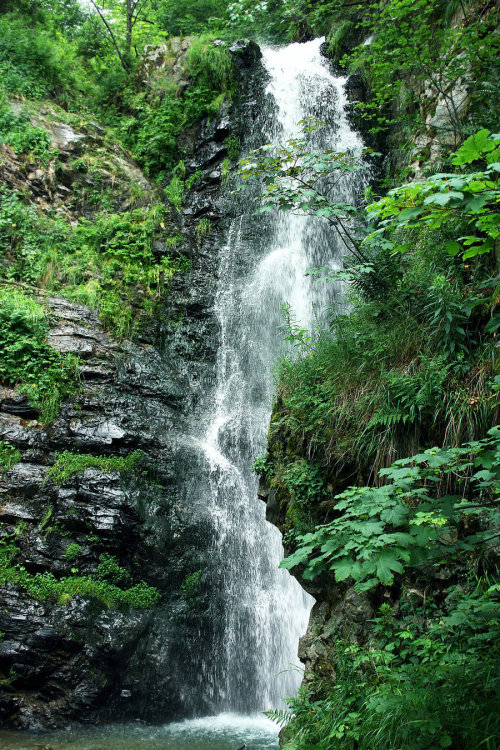 Source: http://tropic-havens.tumblr.com