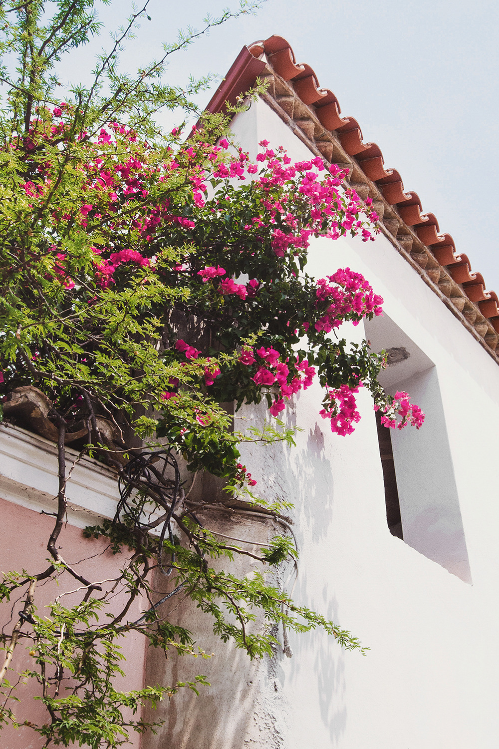 Source: http://alisaineurope.tumblr.com